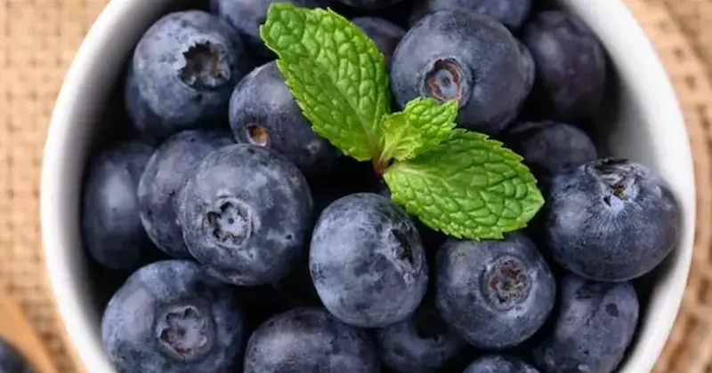 Gizli bir süper güç: Mor mucizenin faydaları say say bitmiyor ancak günde 200 gramdan fazlası zarar Sözcü Gazetesi