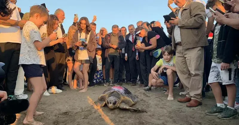 Caretta caretta Cumhuriyet i 10 bin kişi izledi
