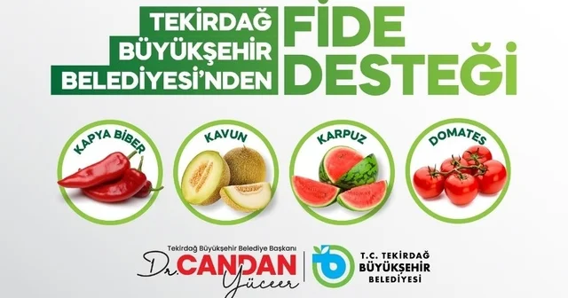 Üreticiye yüzde 70 hibeli fide desteği Tekirdağ Haberleri