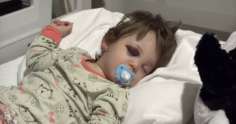 Yalova da Baba ve Kızı Saldırıya Uğradı