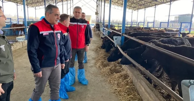 Devlet desteğiyle işini büyüten işletmeler incelendi Aydın Haberleri