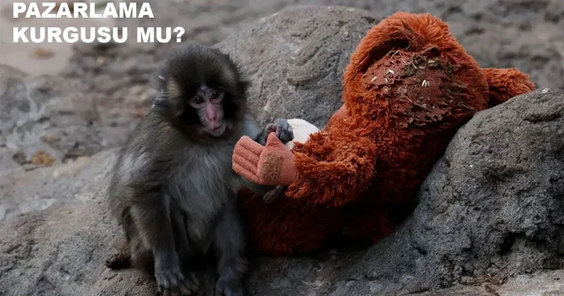 Maymun Punch pazarlama kurgusu muydu?