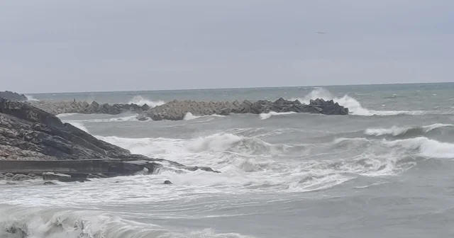 Düzce de kuvvetli rüzgar nedeniyle dalga boyu 3 metreye ulaştı Düzce Haberleri