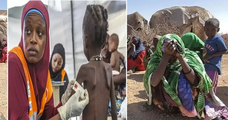 Somali’de 6,5 milyon kişi şiddetli açlık riskiyle karşı karşıya Dünya Haberleri