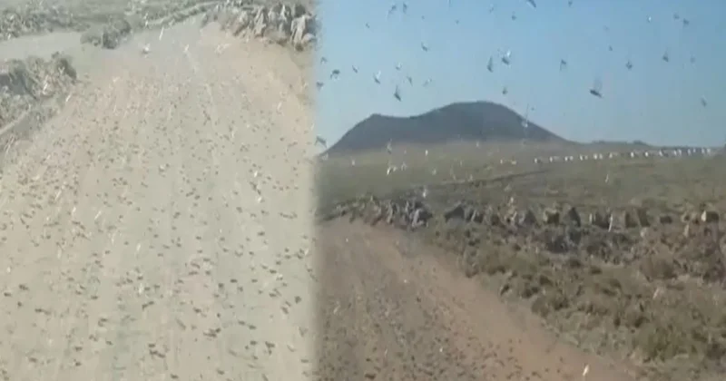 Bir anda gökten patır patır yağmaya başladı: Halka 48 saat uyarısı yapıldı Sözcü Gazetesi