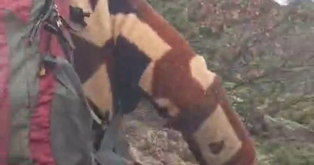 Kuş gözlemi için çıktığı arazide ayı ile karşı karşıya kaldı... Korku dolu anlar kamerada Erzurum Haberleri