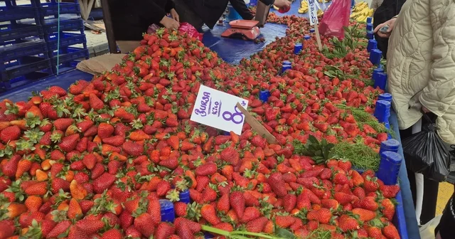 80 TL lik çileğe yoğun ilgi Tekirdağ Haberleri
