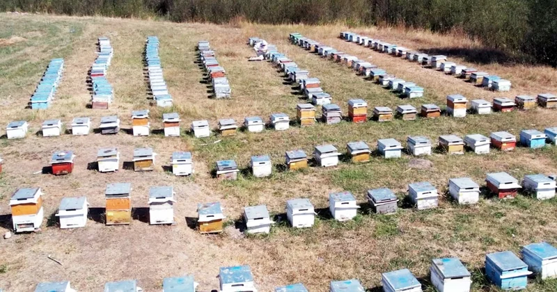 10 bin yıllık bu meslek ayda 120 bin TL kazandırıyor: Bir kez deneyen paraya para demiyor Sözcü Gazetesi