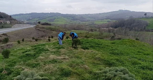 Sinop ta yükümlülerden geleceğe nefes Sinop Haberleri
