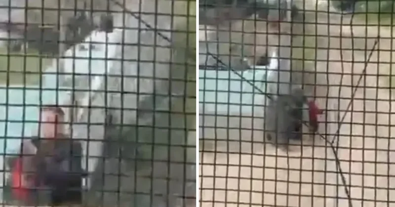 Raylarda mucize: Trenin çarpmasına saniyeler kala küçük çocuğu böyle kurtardı