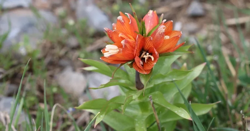 Bundan sonra önüne bakmayan bir araba parası kadar ceza ödeyecek Sözcü Gazetesi