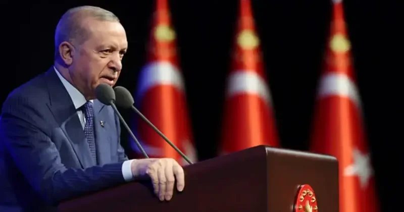 Avrupa dan bakan biri Türkiye yi okuyamaz : İtalyan akademisyen hataları tek tek yazdı