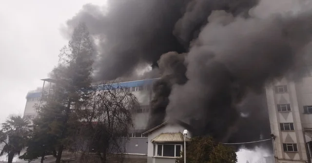 Trabzon da fındık fabrikasında yangın Trabzon Haberleri