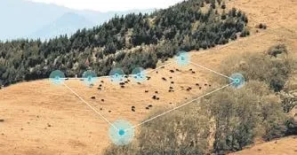 MEVLÜT TEZEL Çobanlara gerek kalmadı!