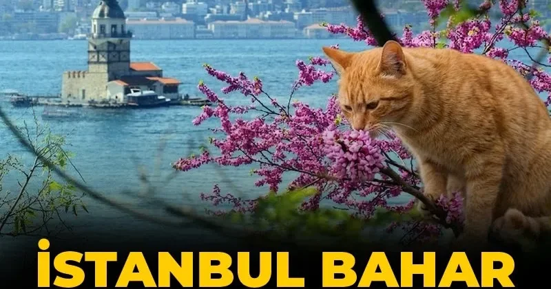 İstanbul bahar provası yapacak: AKOM açıkladı