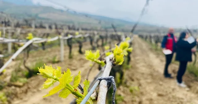 Salihli de yağışlar Ölükol riskini artırdı Manisa Haberleri