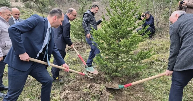 Bartın da hükümlüler fidan dikti Bartın Haberleri
