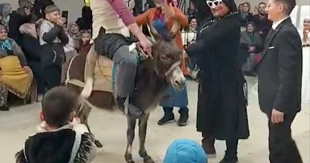 Gördes te ilginç damat eğlencesi Eşekle salona giren sağdıç misafirlerin üzerine düştü Manisa Haberleri