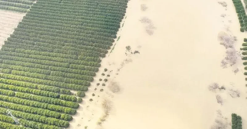 Adana’da çiftçiye büyük şok! Karlar eridi, tarlalar sular altında kaldı