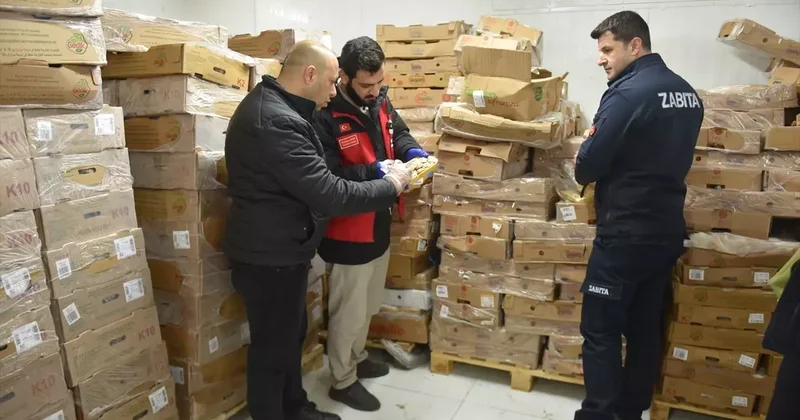 Siverek te 50 Ton Bozuk Tavuk Eti İmha Edildi