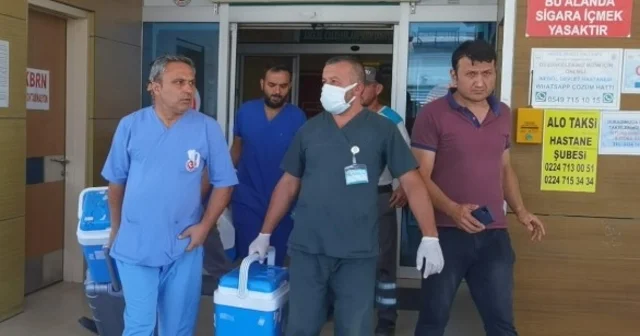 Beyin ölümü gerçekleşen hastanın organları ile korneası 4 hastaya umut oldu Bursa Haberleri