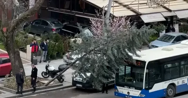 Başkentte üzerine ağaç devrilen otomobilde hasar oluştu VİDEO İZLE