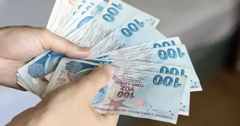 250 bin TL destek alabileceksiniz! 3 şartı sağlamanız gerekiyor