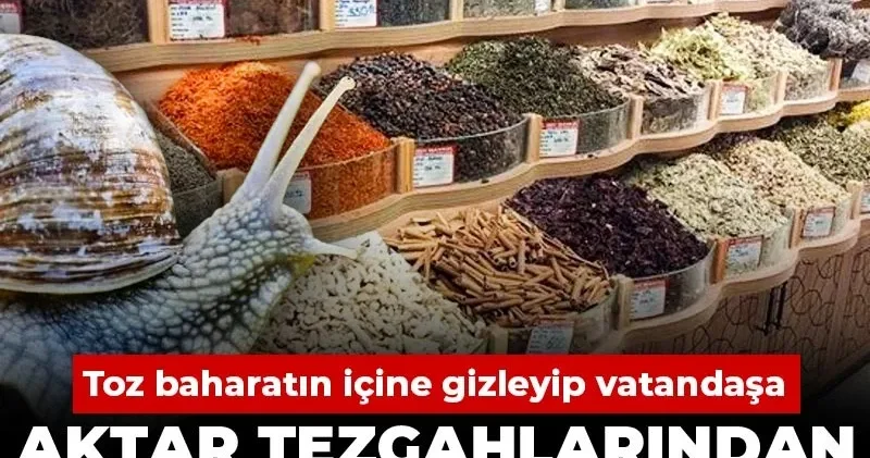 Toz baharatın içine gizleyip vatandaşa yedirdiler: Aktar tezgahlarından sümüklü böcek çıktı