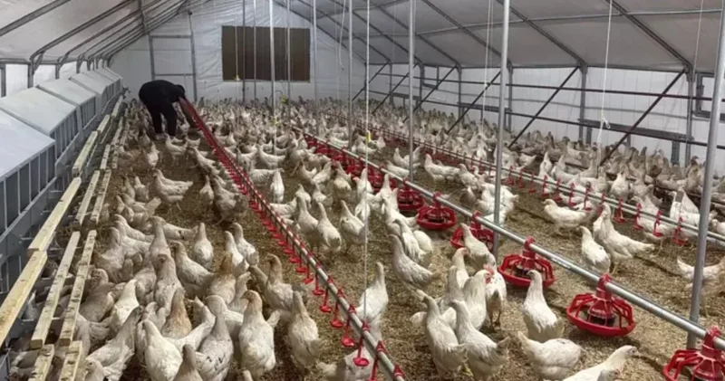 100 kişiden 95’i, “Bu iş yapılmaz” dedi: 1000 kapasiteli o işi kurdu