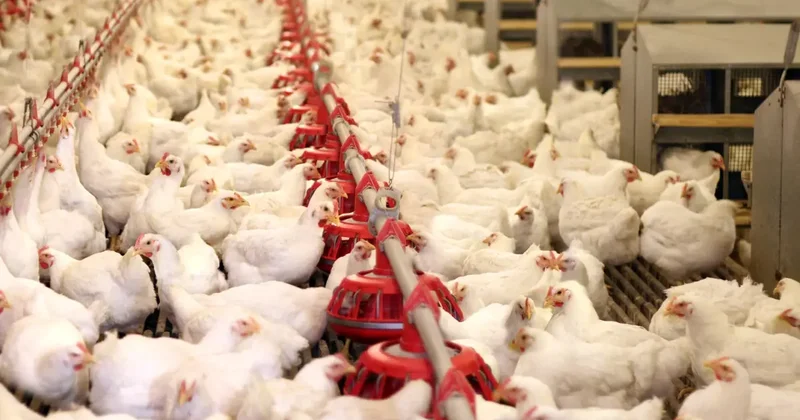 Bir dönemin ihracat şampiyonuydu: 40 yıllık marka icradan satışa çıkarıldı