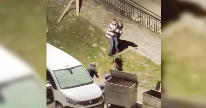 Zorba kocaya komşu dayağı