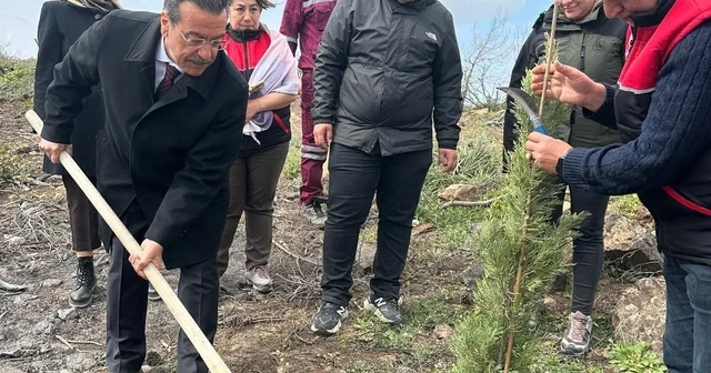 Burhaniye de 315 fıstıkçamı fidanı toprakla buluşturuldu Balıkesir Haberleri