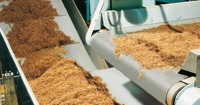 55 yıllık dev tütün fabrikası tamamen kapanıyor Sözcü Gazetesi