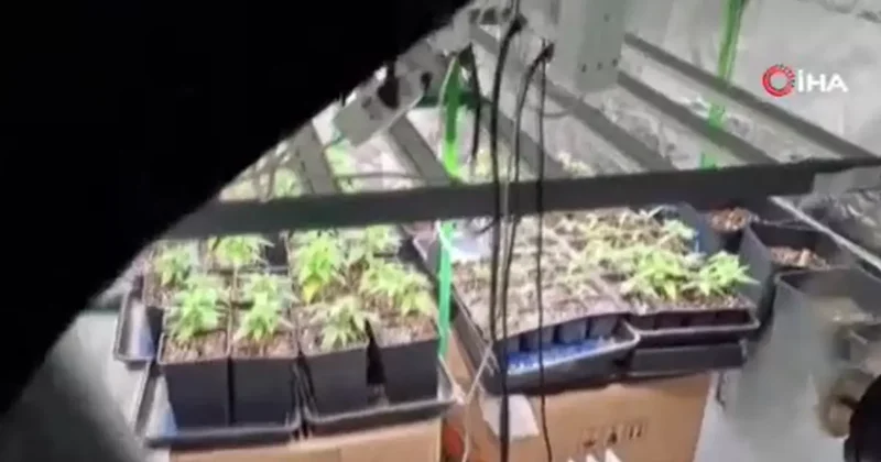 Evleri uyuşturucu serasına, tuvaletleri laboratuvara çevirmişler: 36 gözaltı