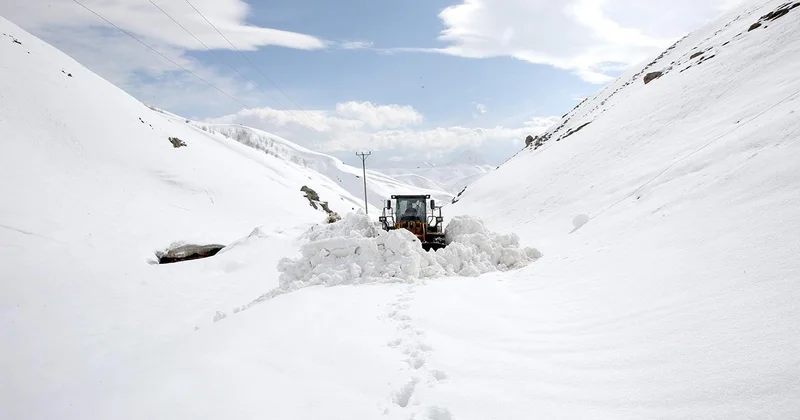 Kar kaplanlarının yoğun mesaisi martta da sürüyor