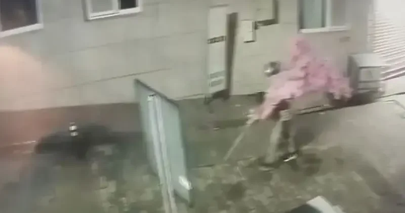 Camı açamayan hırsız, kapıdaki değerli süs ağacını söktü; o anlar kamerada