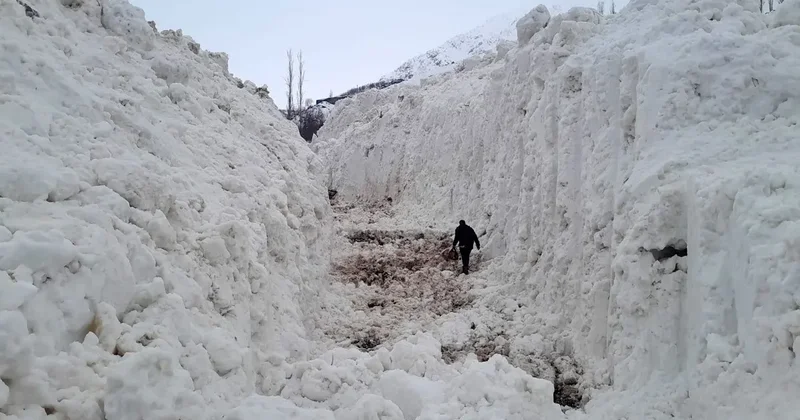 Yüksekova da çığ meyve bahçelerini yuttu: Köy yolu kar tünelleriyle açılıyor