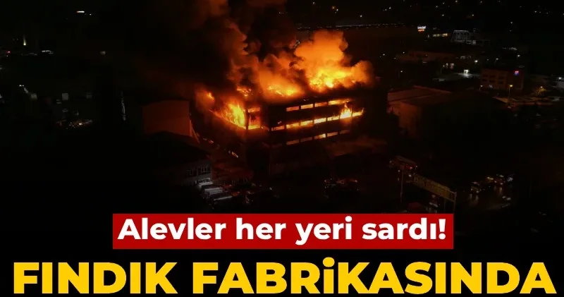Fındık fabrikasında yangın faciası! Alevler her yeri sardı: 2 yaralı