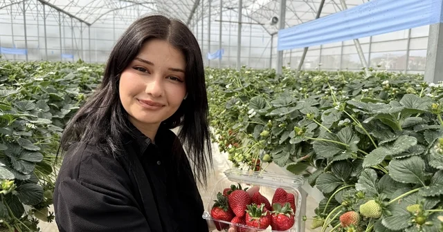 Tarsus ta topraksız tarımda ilk çilek hasadı yapıldı Tarsus Belediyesi ilk hasadını vatandaşlara dağıttı Başkan Boltaç: Üretimin içinde olduk, üretimin nasıl yapılacağını gösteren bir belediye olmayı hedefliyoruz Mersin Haberleri