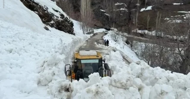 Bahçesaray da yola çığ düştü Van Haberleri