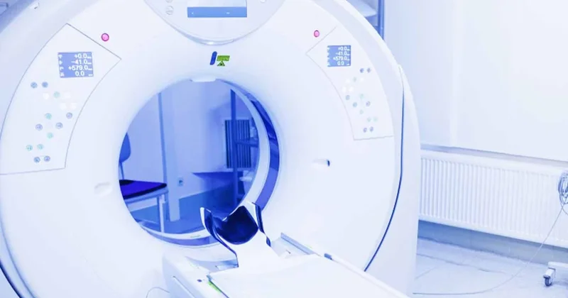 MR çektirmeye gitti, bir saat içinde öldü: Tam kaos Sözcü Gazetesi