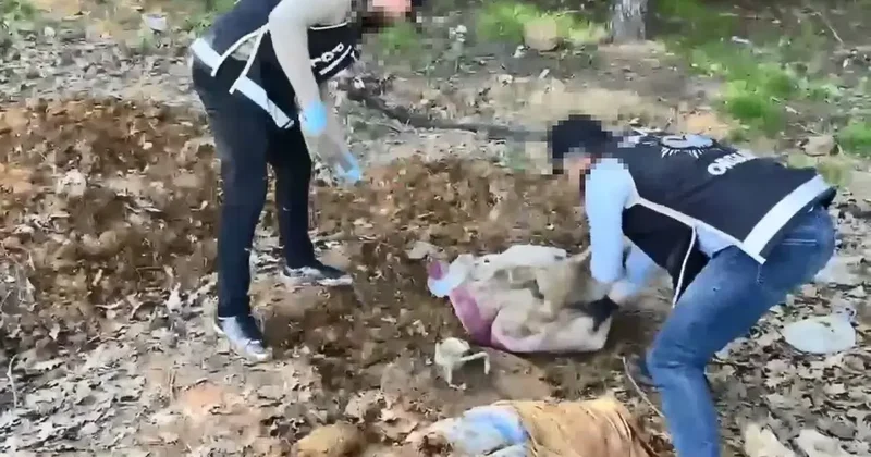 Pendik te düzenlenen operasyonda toprak altındaki depoda binlerce silah parçası bulundu