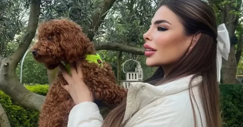 Köpeğini camdan sallandırıp videoya çekti: Cani kadın o anları sosyal medyadan paylaştı! Haydi gel kurtar