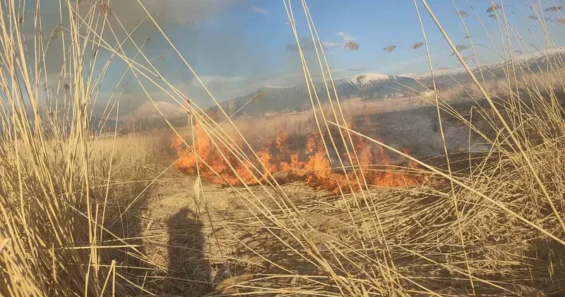 Van’ın Muradiye ilçesinde sazlık yangını