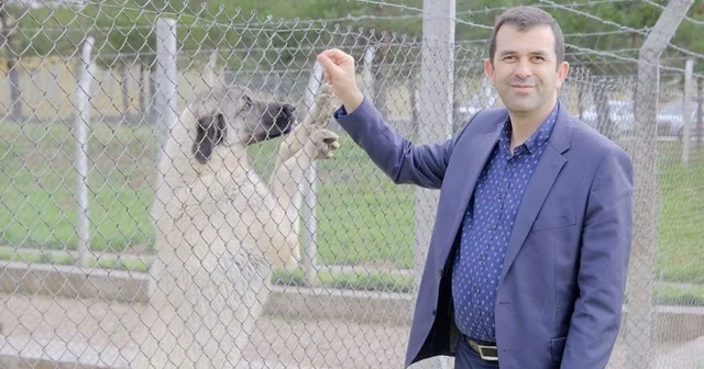 Uzmanı tanımladı, Veteriner hekimler gıda zincirinin temel taşı konumundadır Sivas Haberleri