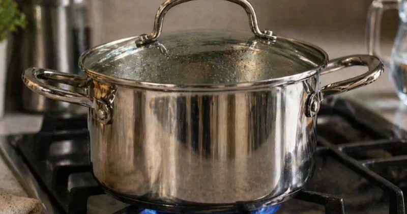 Tencerelerin morarmasına neden olan lekenin nedenini kimse bilmiyor Sözcü Gazetesi