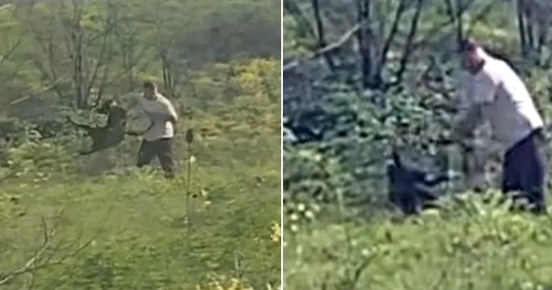 Köpeğe dakikalarca şiddet uyguladı! Çevredekilerin tepkilerine de aldırış etmedi Sözcü Gazetesi