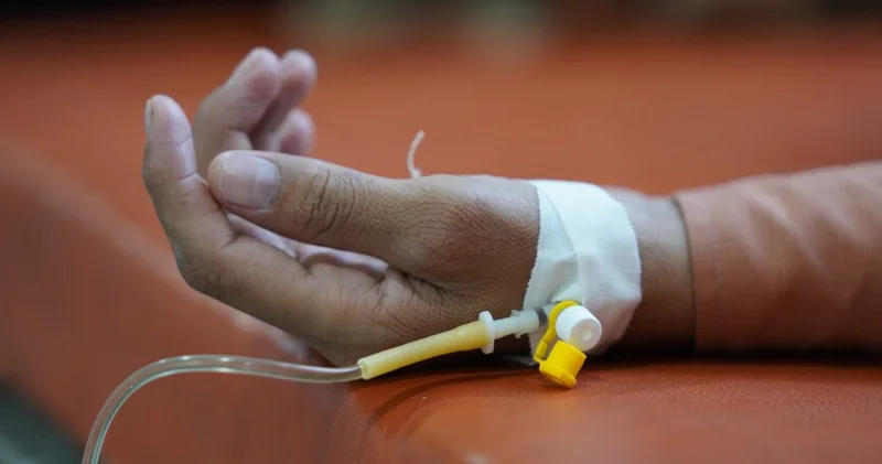 DSÖ: 2024 te sıtma nedeniyle 610 bin kişi hayatını kaybetti Haberler