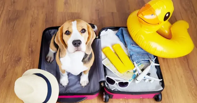 Turizmde ‘pati’ izi