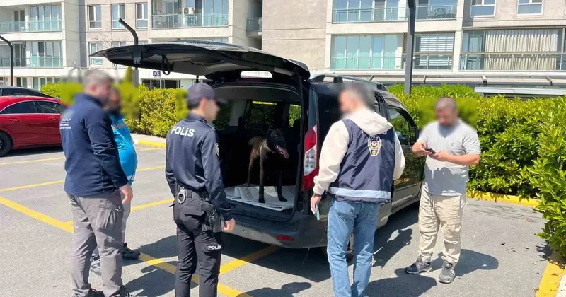 Avcılar’da köpeğe kötü muamelede bulunan şahıs yakalandı
